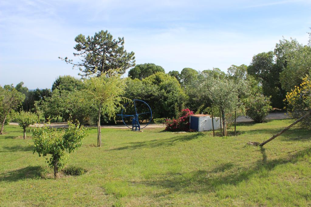 Casal Novo Pension São Martinho do Porto Buitenkant foto