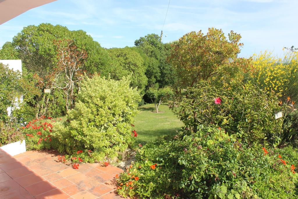 Casal Novo Pension São Martinho do Porto Buitenkant foto