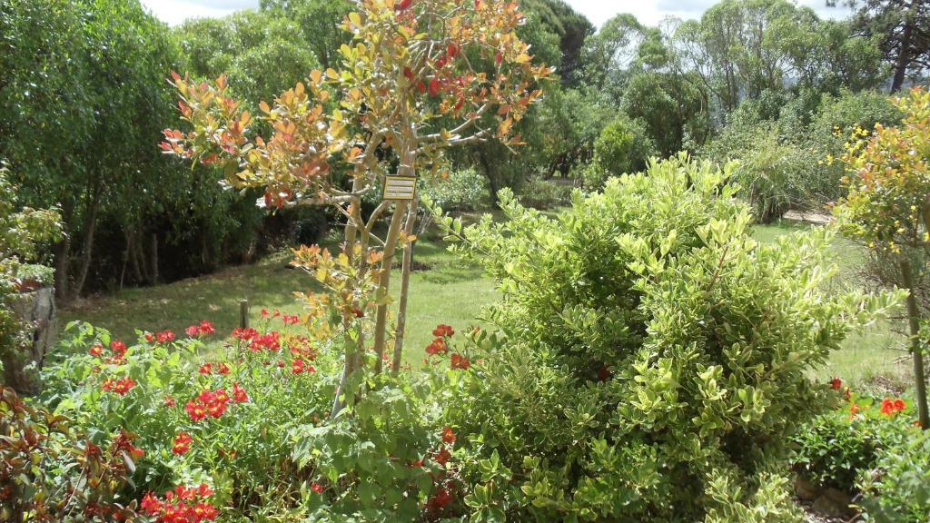 Casal Novo Pension São Martinho do Porto Buitenkant foto