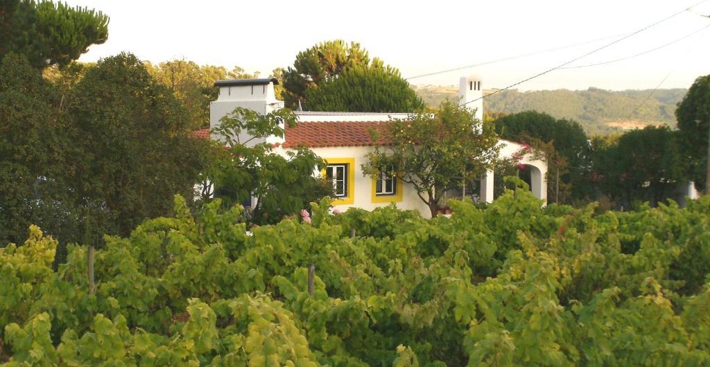 Casal Novo Pension São Martinho do Porto Buitenkant foto