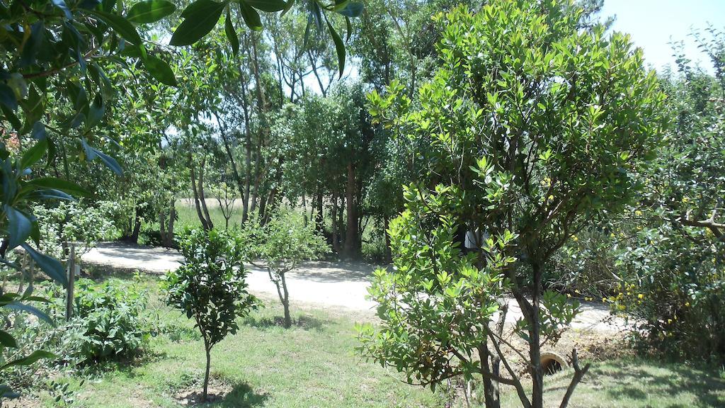 Casal Novo Pension São Martinho do Porto Buitenkant foto